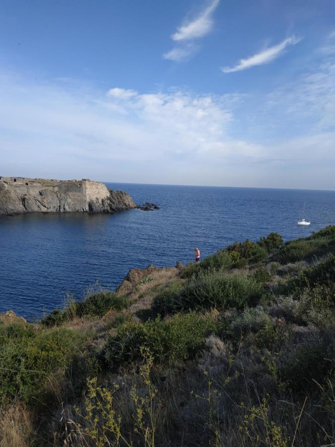 Port Heaven, A Deux Pas Du Port, Grand Balcon Daire Port Vendres Dış mekan fotoğraf